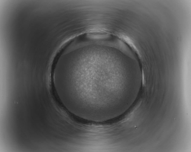 X0000088750531200706071722