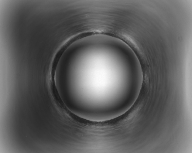 X0000088750532200706071722