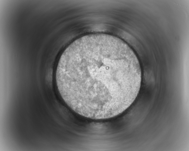 X0000088750534200706071722
