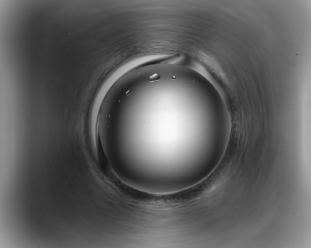 X0000088750538200706071722