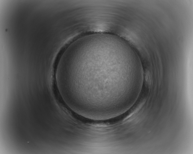 X0000088750540200706071722