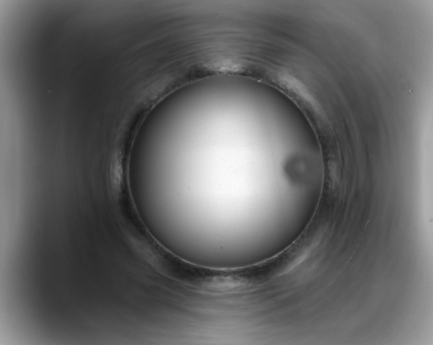 X0000088750541200706071722
