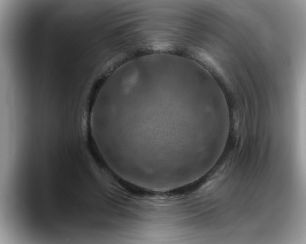 X0000088750542200706071722