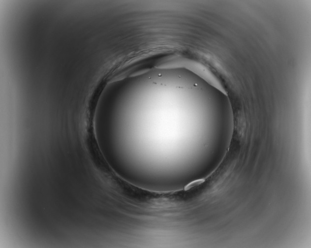 X0000088750544200706071722
