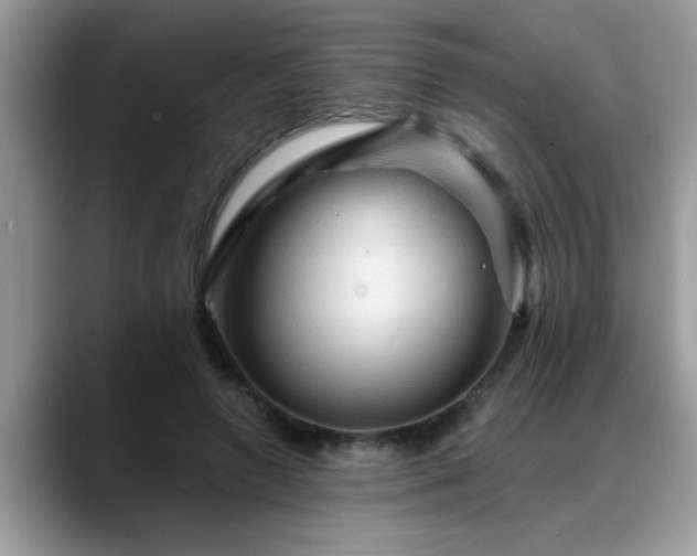 X0000088750546200706071722