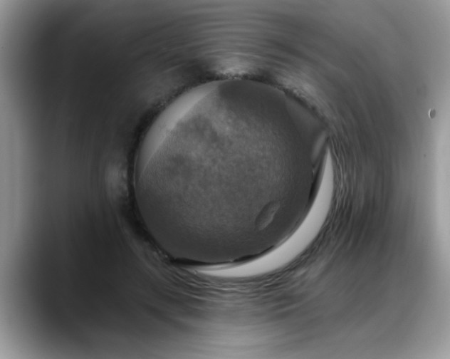 X0000088750547200706071722
