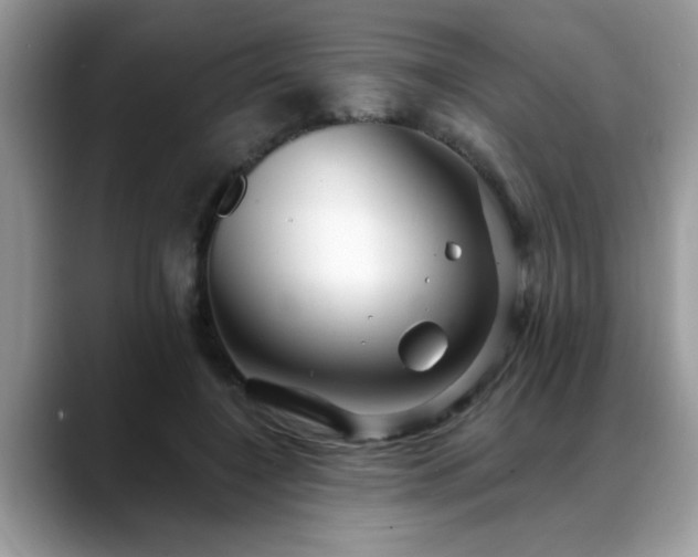 X0000088750548200706071722