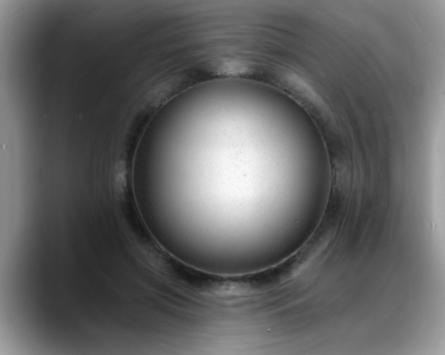 X0000088750549200706071722