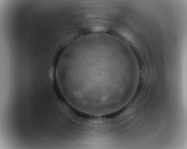 X0000088750550200706071722