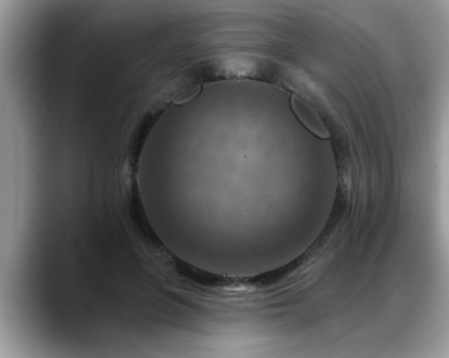X0000088750551200706071722