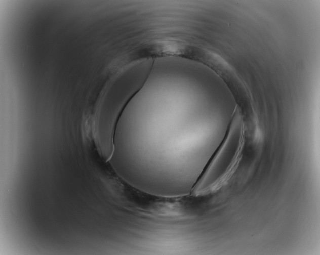 X0000088750552200706071722