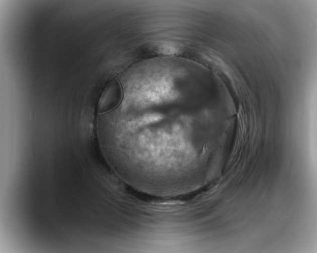 X0000088750553200706071722