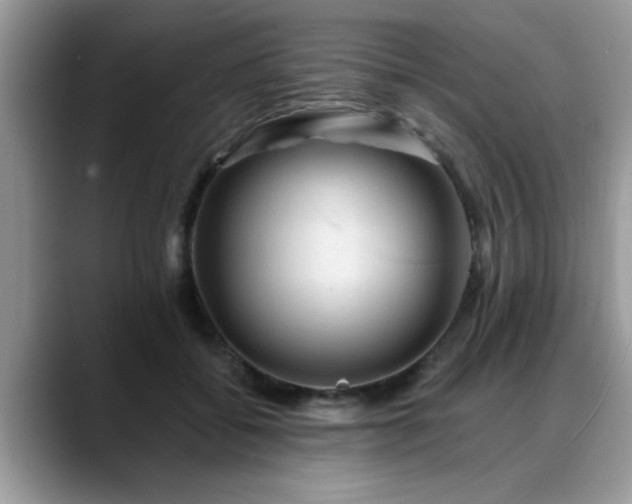 X0000088750556200706071722