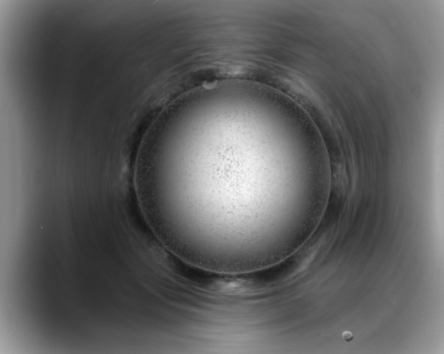 X0000088750557200706071722