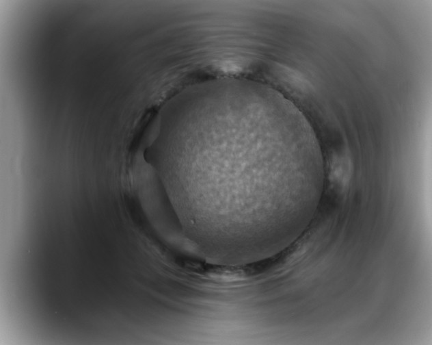 X0000088750559200706071722