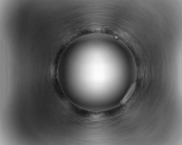 X0000088750560200706071722