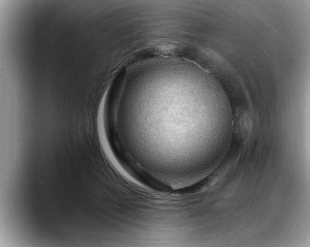 X0000088750562200706071722