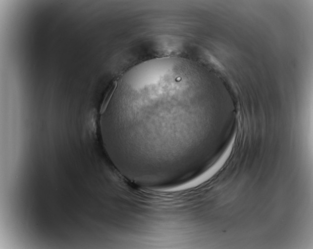 X0000088750570200706071723
