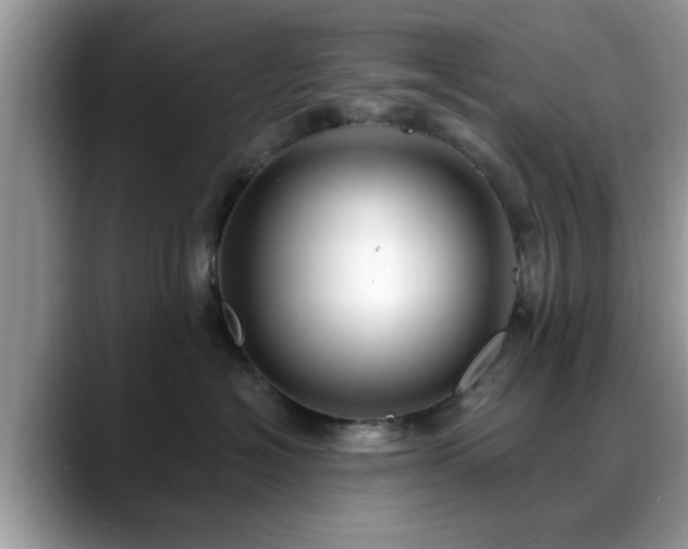 X0000088750574200706071723