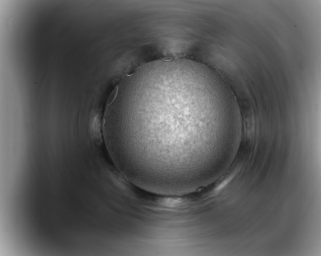 X0000088750575200706071723