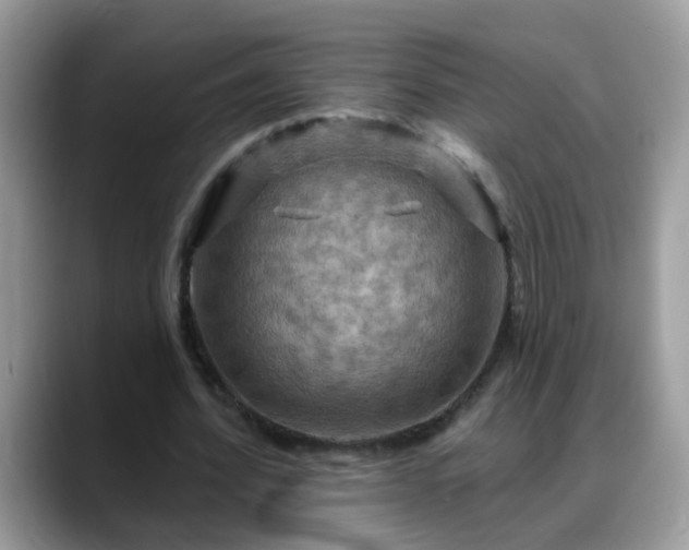 X0000088750580200706071722