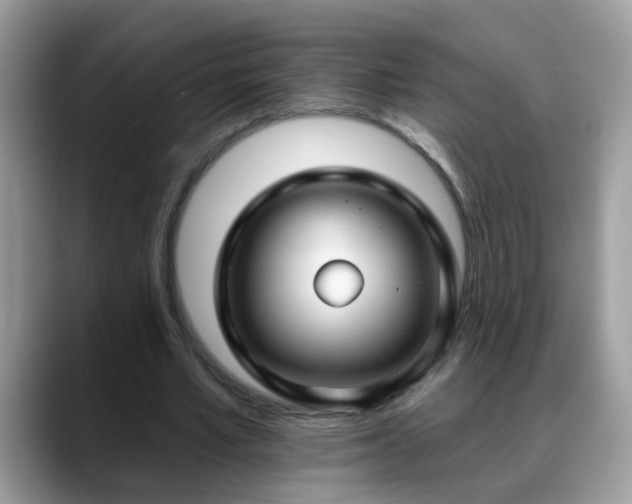 X0000088750581200706071722