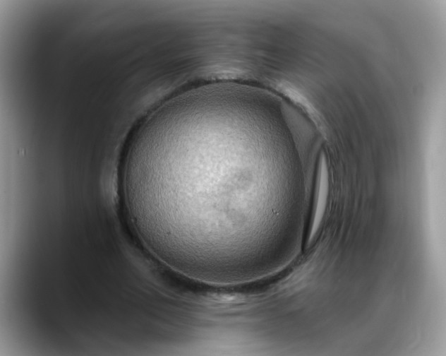 X0000088750582200706071722