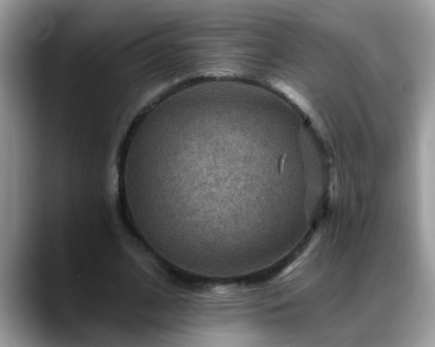 X0000088750584200706071722