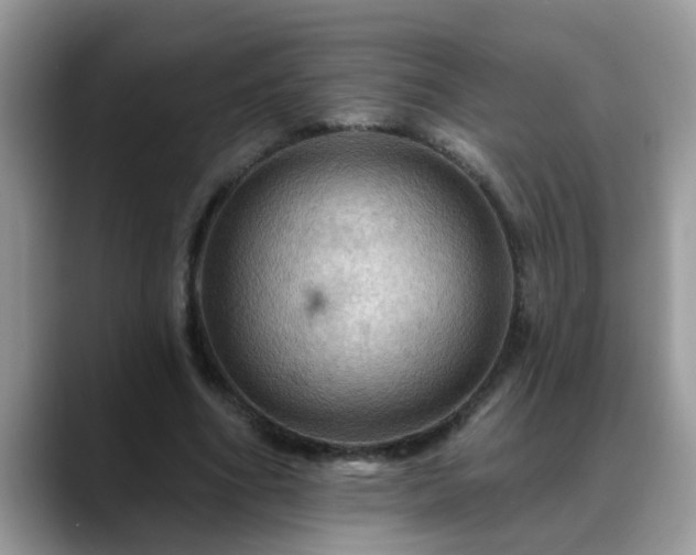 X0000088750586200706071722
