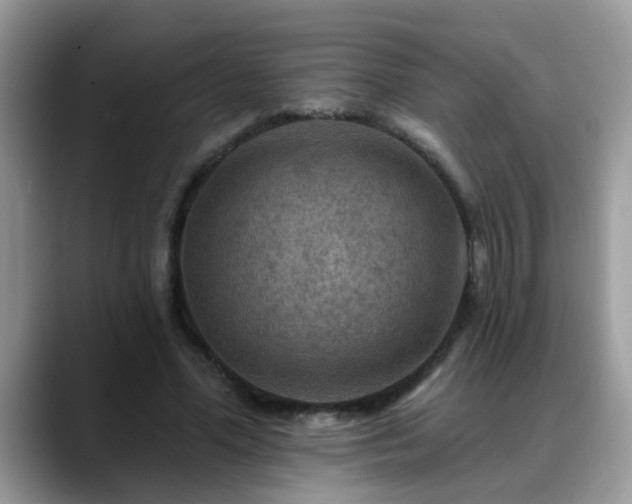 X0000088750588200706071722