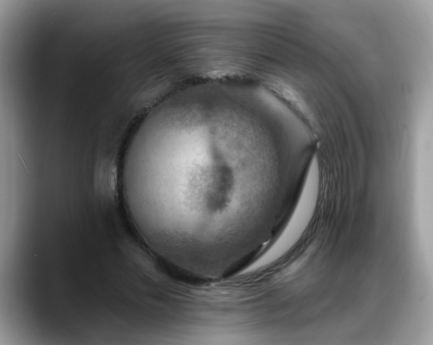 X0000088750589200706071722