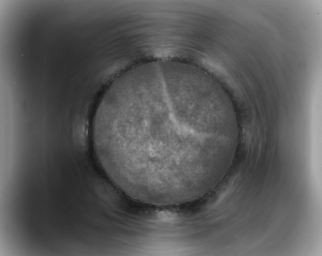X0000088750592200706071722