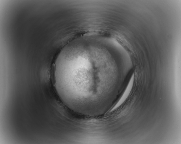 X0000088750593200706071722