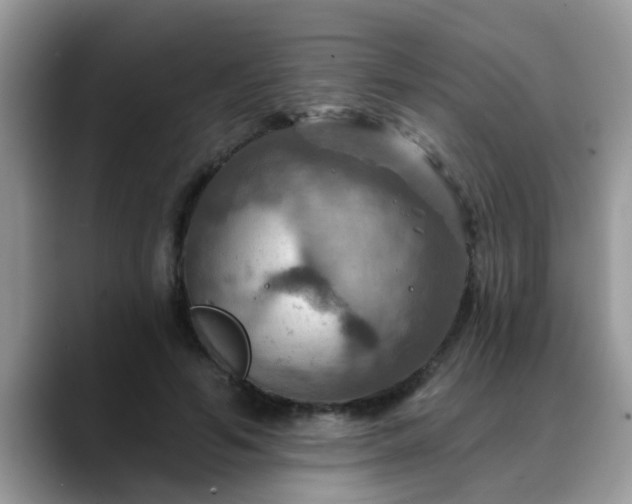 X0000088750594200706071722