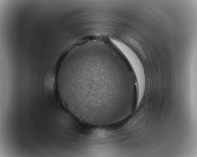 X0000088750596200706071722