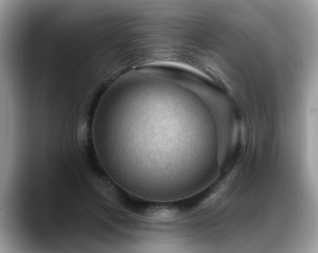 X0000088750597200706071722
