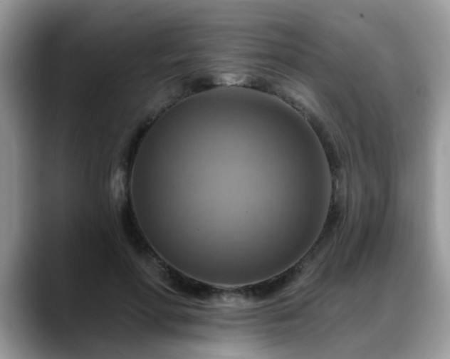 X0000088750598200706071722