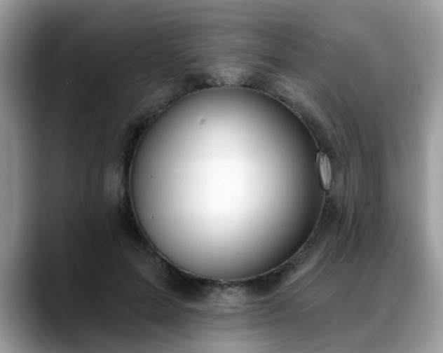 X0000088750599200706071722