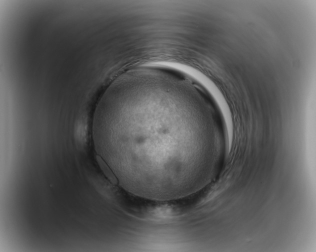 X0000088750600200706071722