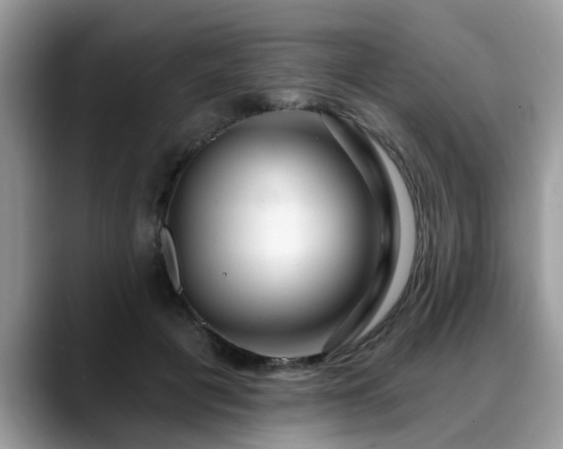 X0000088750601200706071722