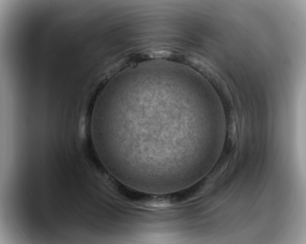 X0000088750604200706071722