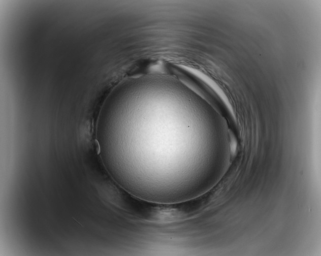 X0000088750605200706071722