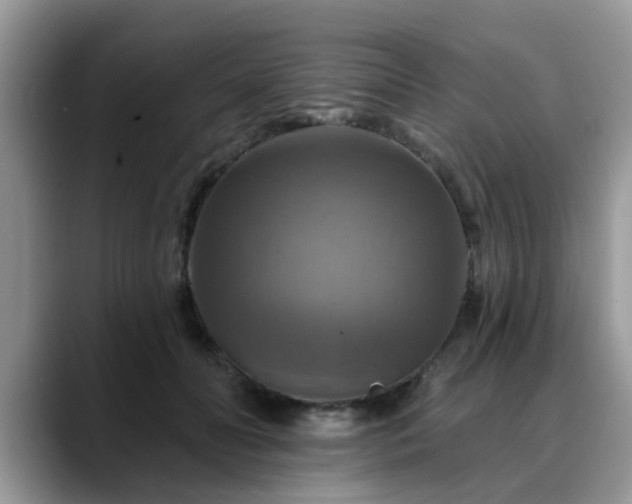 X0000088750606200706071722