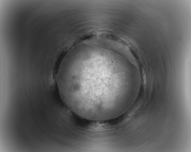 X0000088750607200706071722