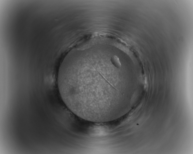 X0000088750608200706071722