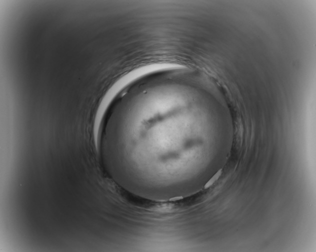 X0000088750609200706071722