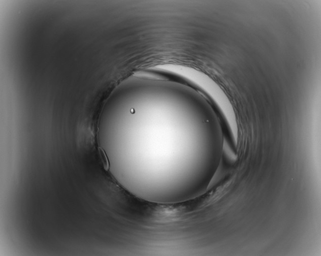 X0000088750613200706071722
