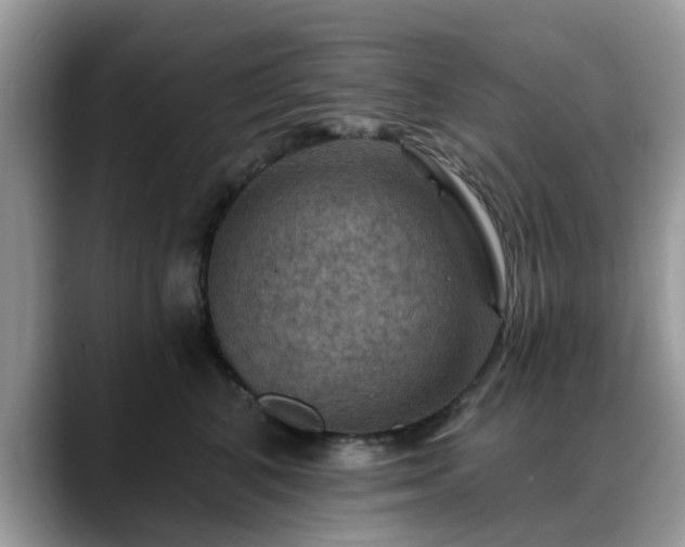 X0000088750616200706071721