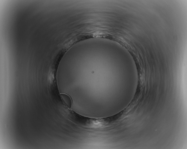 X0000088750618200706071721