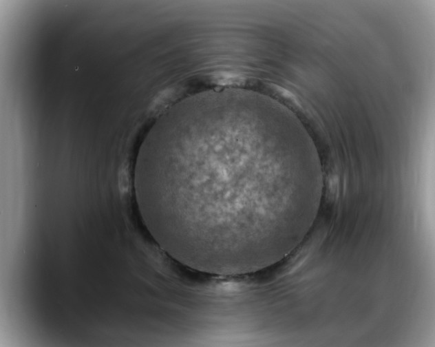 X0000088750620200706071721